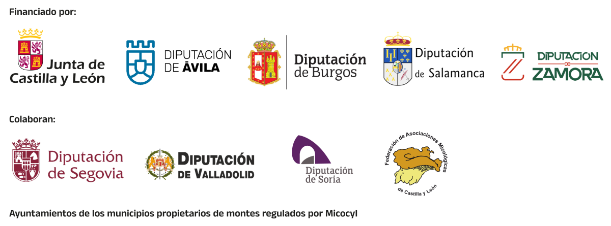 Financiado por Junta de Castilla y León y Diputaciones de Ávila, Burgos, Salamanca y Zamora. Colaboran Diputaciones de Segovia, Valladolid y Soria y la Federación de Asociaciones Micológicas de Castilla y León